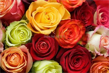 Таванна филм с цветен печат рози R-2817 / Подходящ за тапети/ Plafond tendu/ Герги Таван
