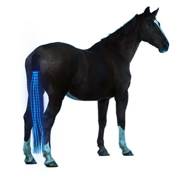 Нови 100 см USB-светлини за cauda equina, заряжаемые led светлини за конна езда, конен сбруя, оборудване за спорт на открито, задни светлини за езда