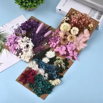 Сухоцветик със собствените си ръце за производство на форми от смола, цветя за пълнене на ноктите, средства за домашно производство на форми за леене от смола