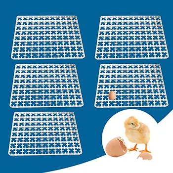 Пластмасов Контейнер за яйца Тава 5 бр. Инкубатор За съхранение Подходящ за сортиране и доставка 88 яйца от Инкубатор