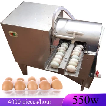 2023 Търговски електрическа роликовая четка тип утиное яйце, шайба за миролюбивия яйца