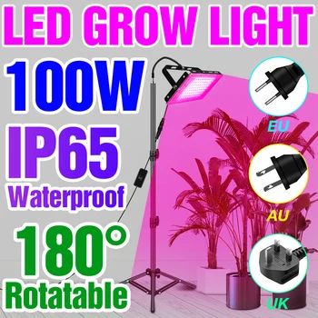 220 В led лампа за растенията с пълен спектър на действие, семена на стайни цветя, хидропоника, фитолампа, led лампа за отглеждане на разсад, гроубокс